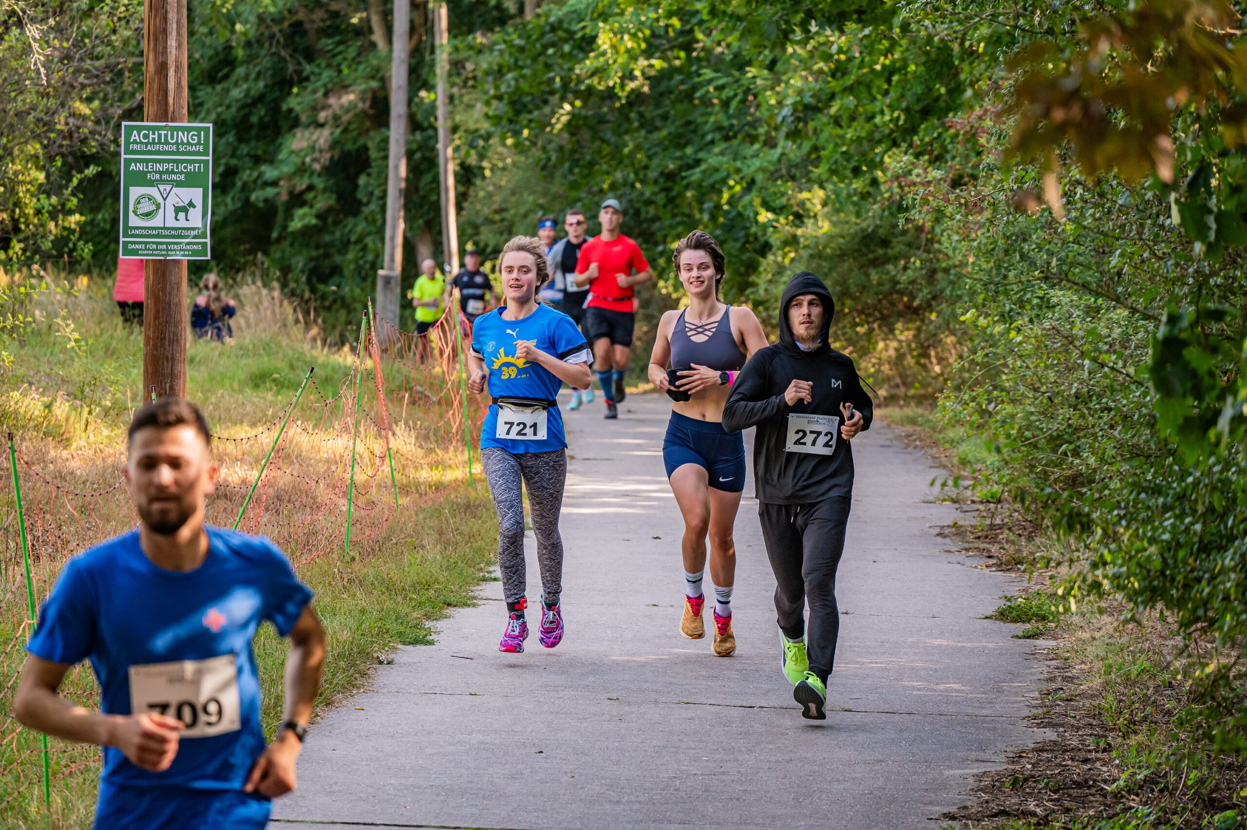 Ankündigung Jubiläumslauf 17.11.24/ Handtuch Mehrfachstarter