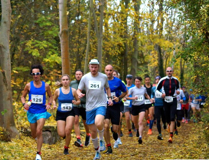 4. Jubiläumslauf am 17.11.24 / Handtuch für Mehrfachstarter